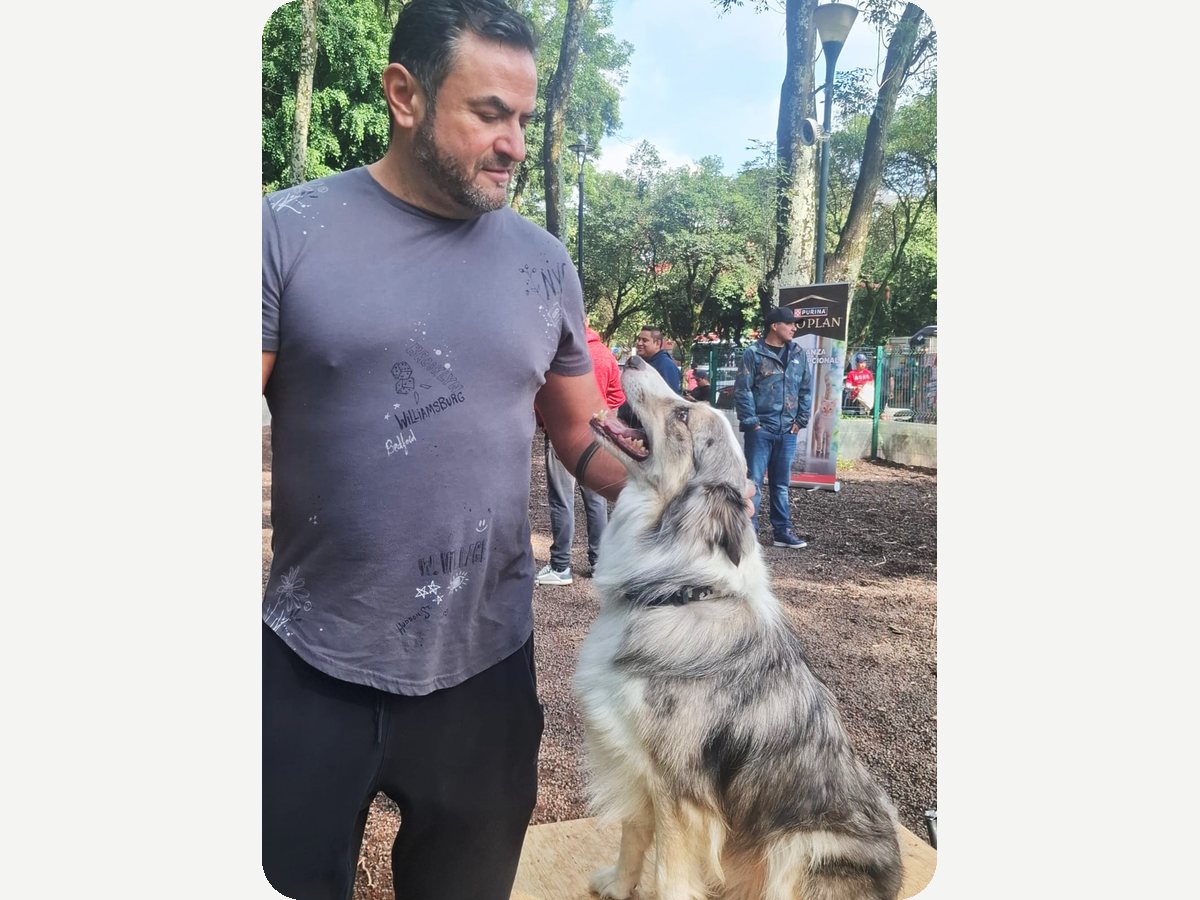 Dueños satisfechos, activación de Purina Pro Plan