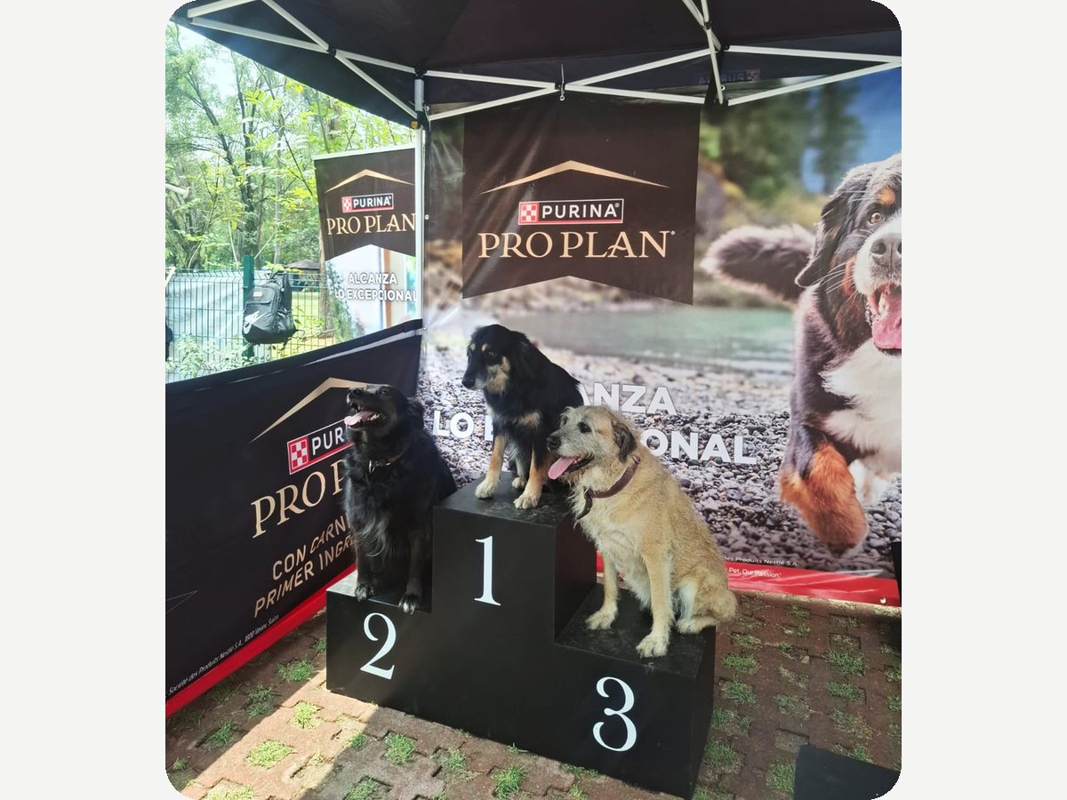 Podio de ganadores, activación de Purina Pro Plan