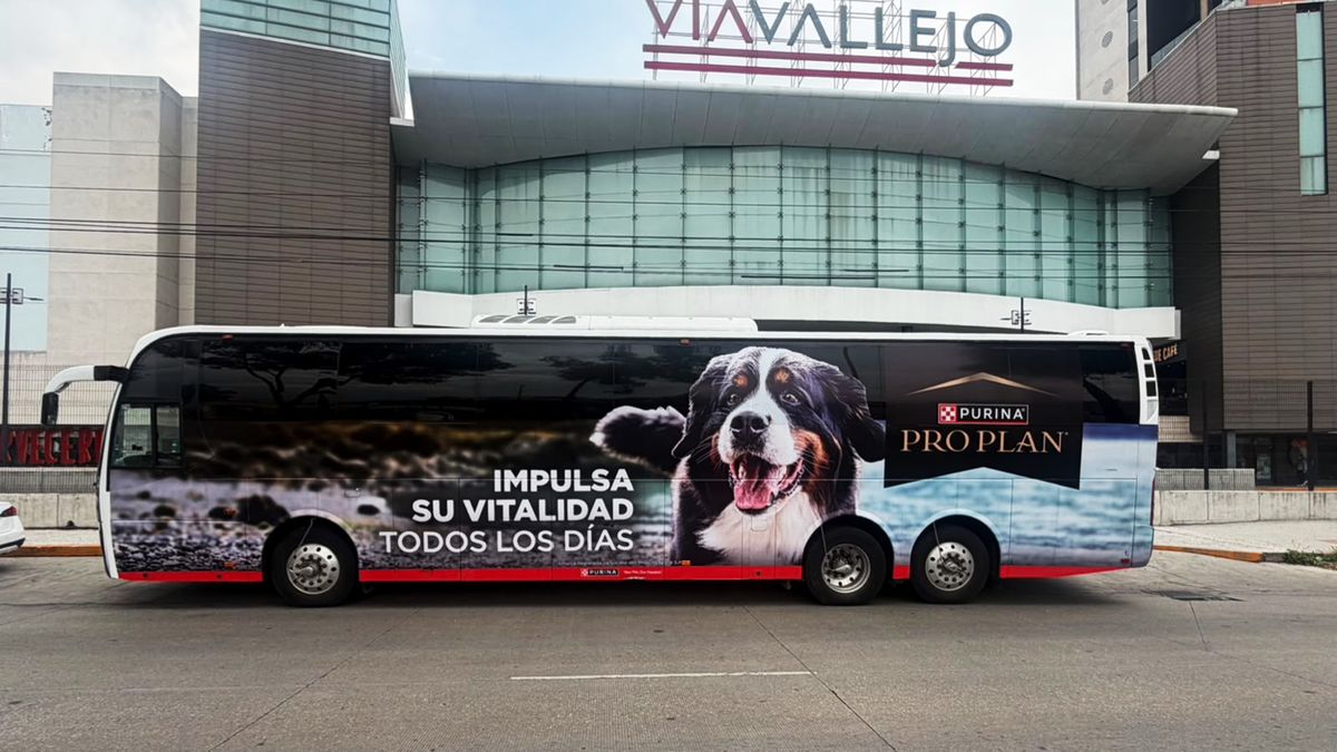 Big Bus: campaña de Lucky Ride Bus