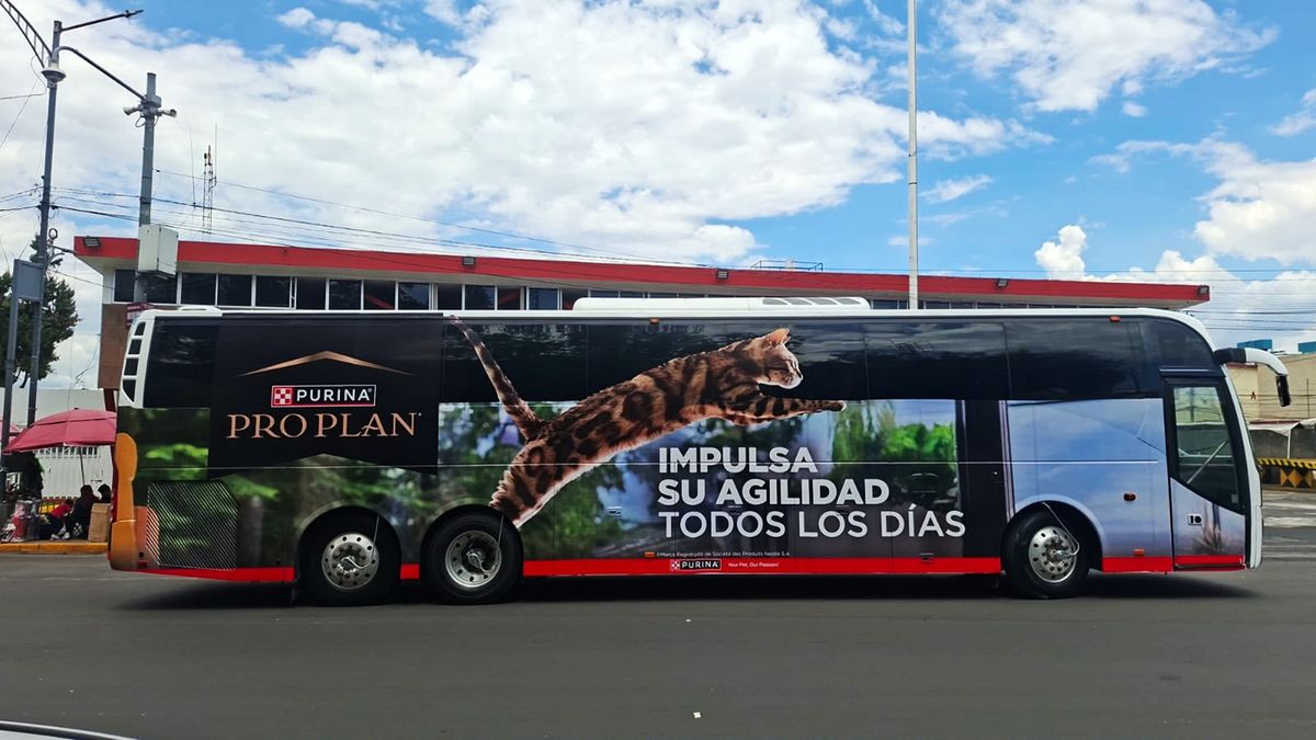 Big Bus: campaña de Lucky Ride Bus