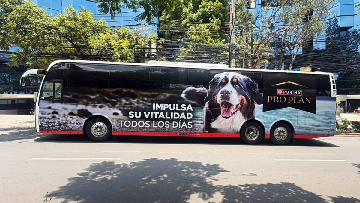 Big Bus: campaña de Lucky Ride Bus