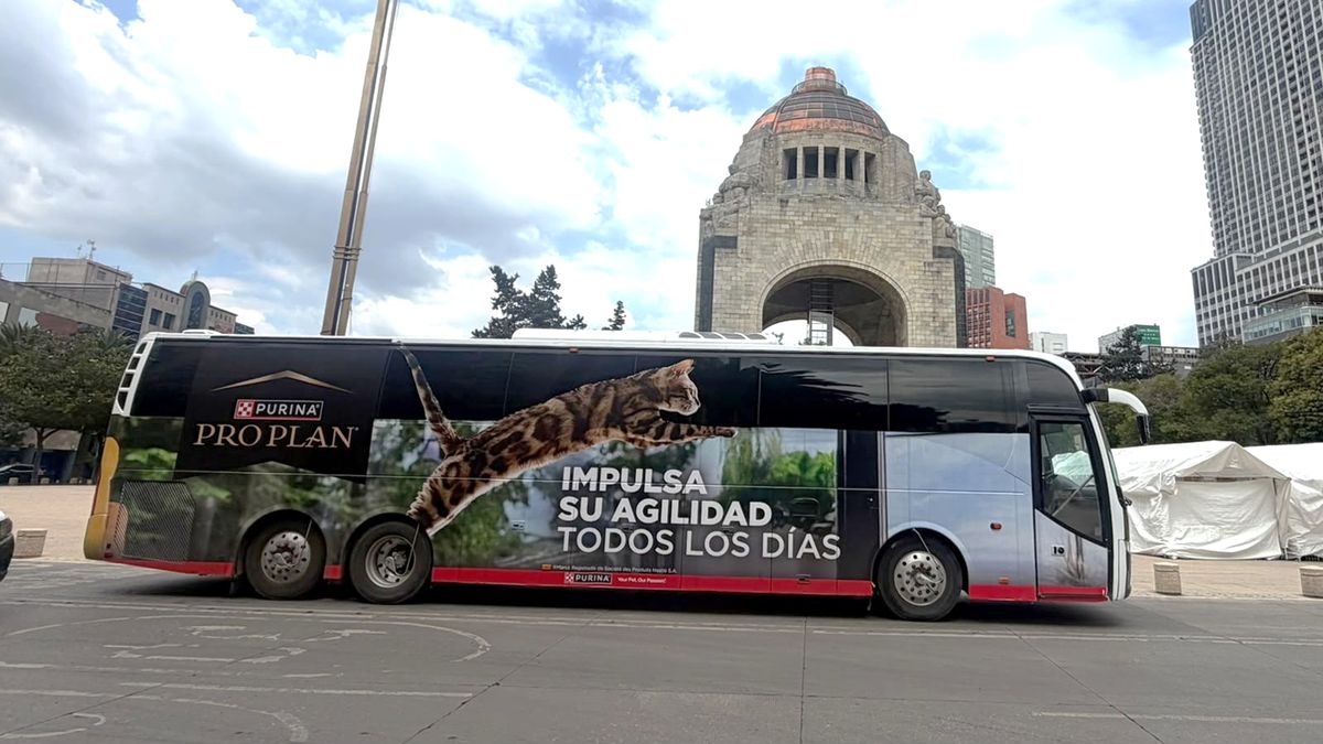 Big Bus: campaña de Lucky Ride Bus