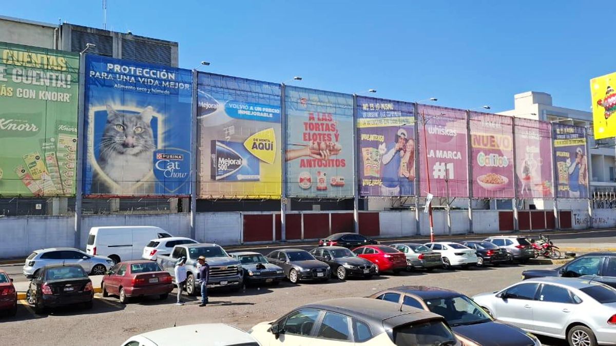 CEDA: campaña de Lucky Ride Bus